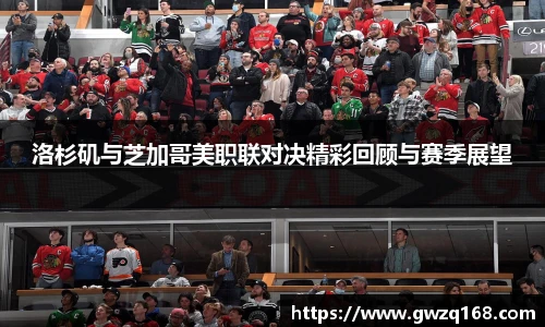 韦德体育官网